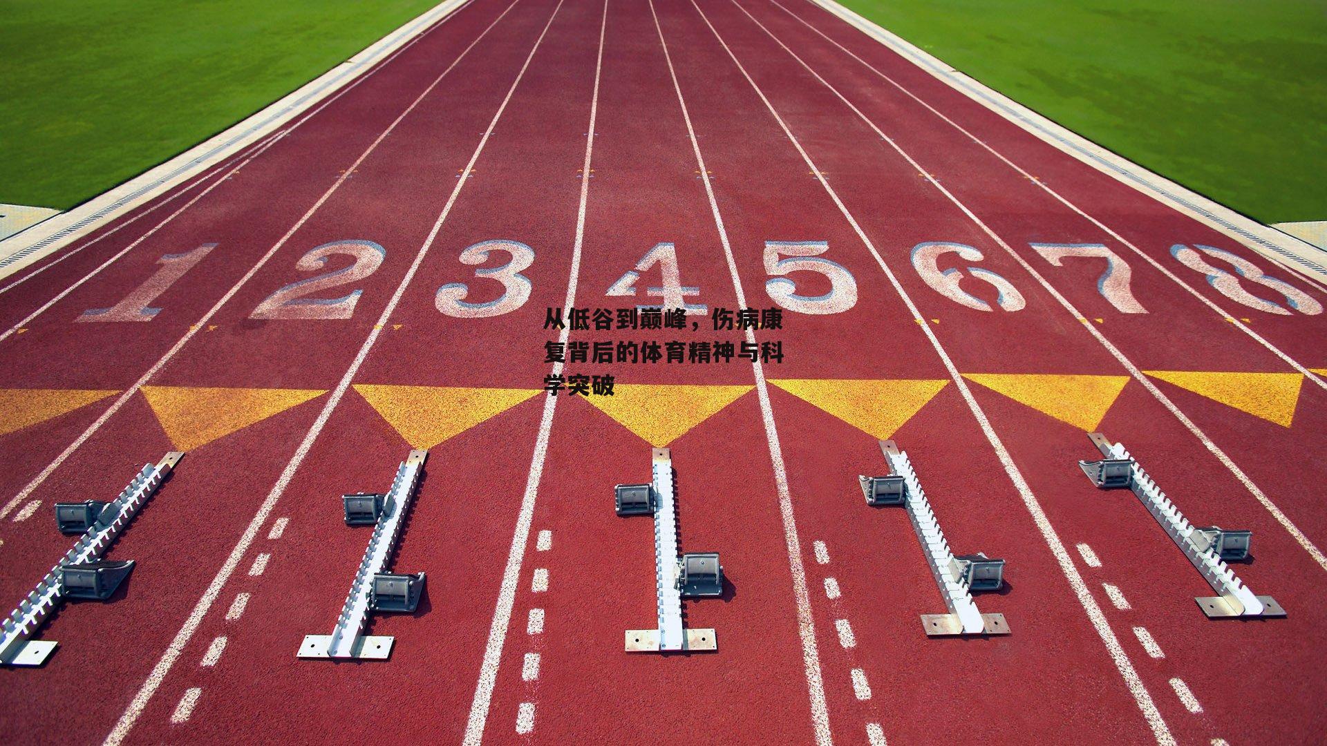 从低谷到巅峰，伤病康复背后的体育精神与科学突破