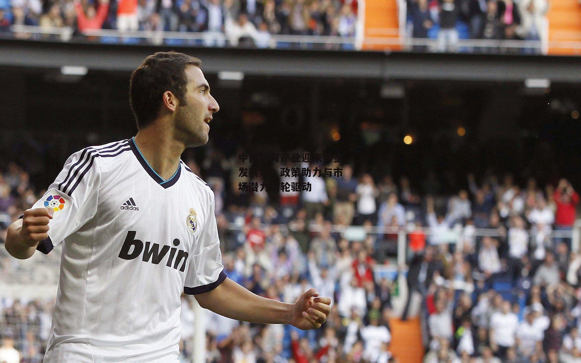 中国体育产业迎来黄金发展期，政策助力与市场潜力双轮驱动